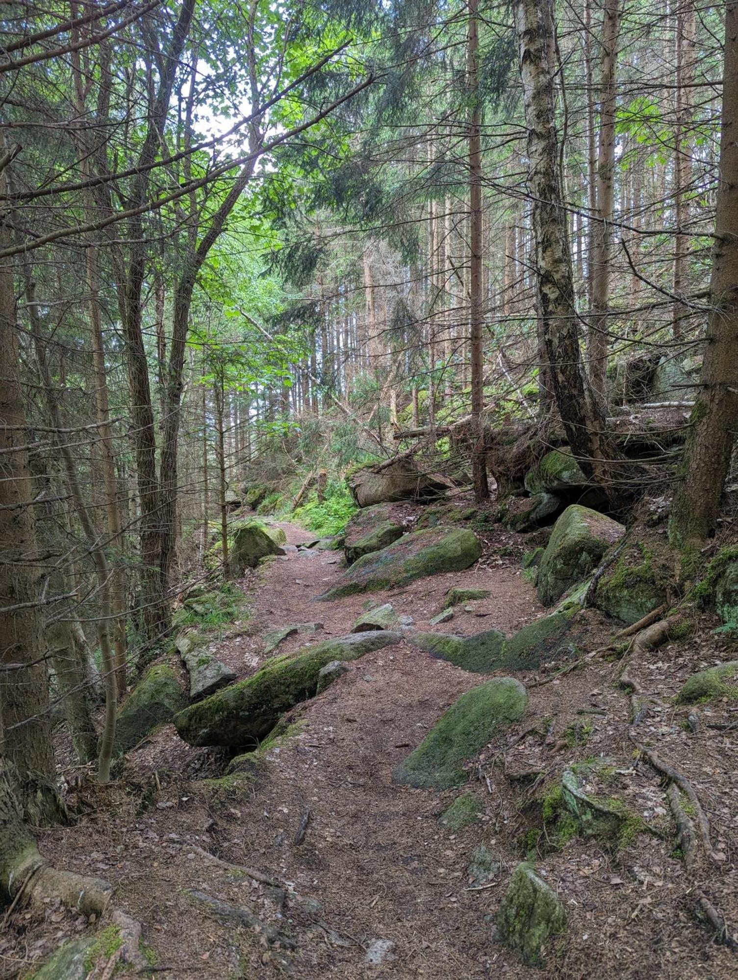 Waldgasthaus & Berghotel Steinerne Renne Wernigerode Bagian luar foto
