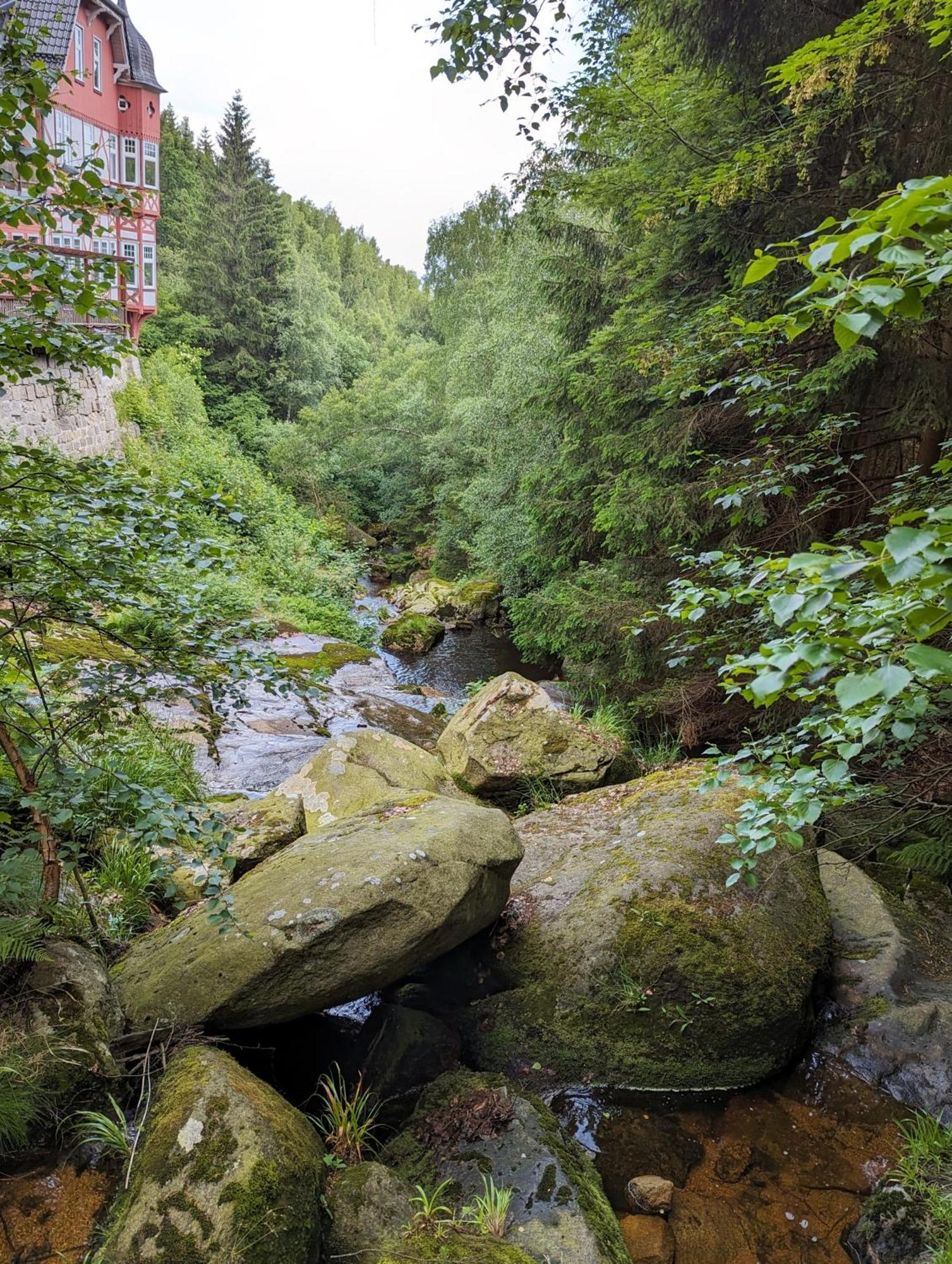 Waldgasthaus & Berghotel Steinerne Renne Wernigerode Bagian luar foto