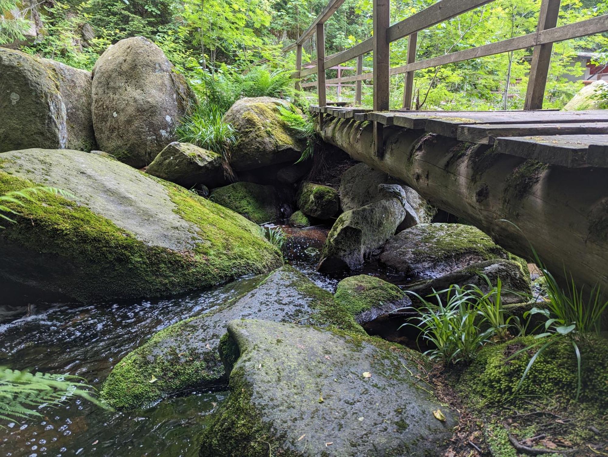 Waldgasthaus & Berghotel Steinerne Renne Wernigerode Bagian luar foto