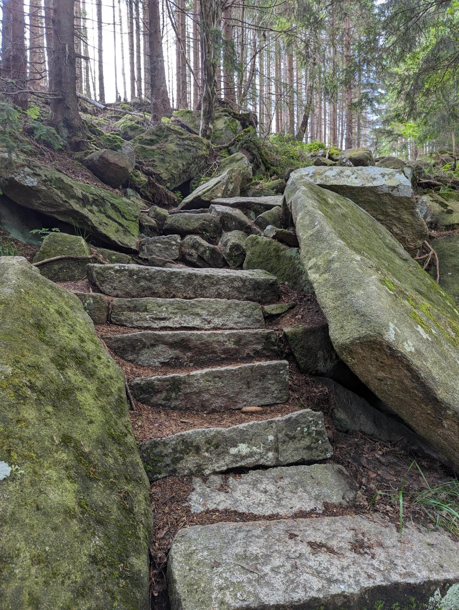 Waldgasthaus & Berghotel Steinerne Renne Wernigerode Bagian luar foto